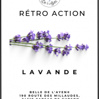 Retro action lavande 1