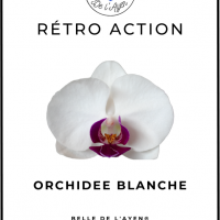 Retro action orchidee blanche 1